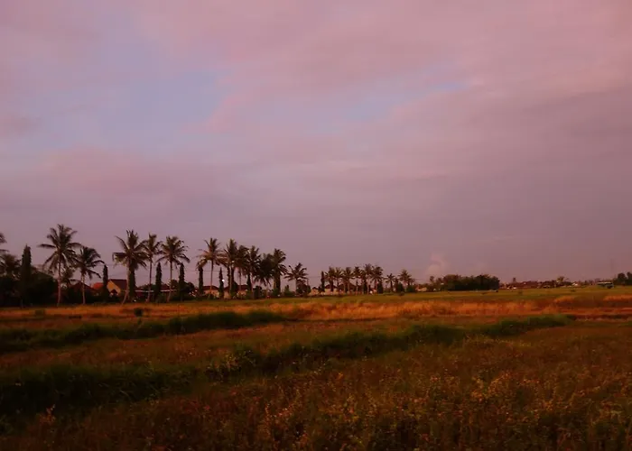 Maison Simba Bed & Breakfast Tanah Lot