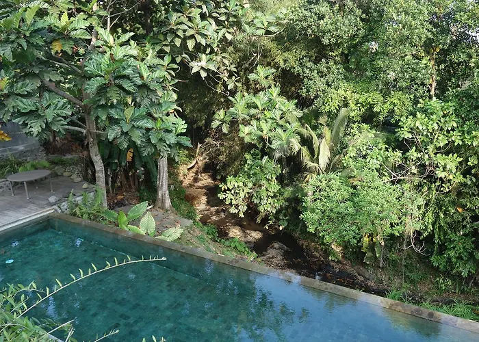 Maison Simba Bed & Breakfast